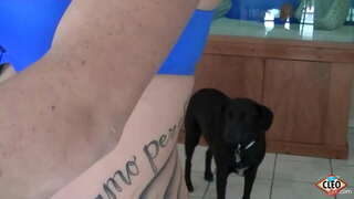 Inked Babe Bere Cleo atsegin emateko laguntzen esku bat denean dick handi bat askatu behar estresa, are gehiago bada zuen lortu ahal izango bero cum guztiak baino gehiago bere amilotxak! Beraz, polita! Bideo Osoa &amp;amp; Guztiak Bere Cleo @ ItsCleoLive.com!